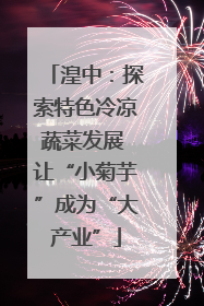 湟中：探索特色冷凉蔬菜发展 让“小菊芋”成为“大产业”