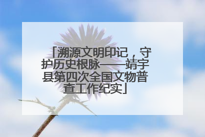 溯源文明印记，守护历史根脉——靖宇县第四次全国文物普查工作纪实
