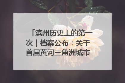 滨州历史上的第一次｜档案公布：关于首届黄河三角洲城市经济博览会暨发展论坛情况的总结报告