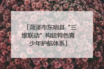菏泽市东明县“三维联动”构建特色青少年护航体系