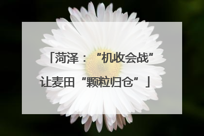 菏泽：“机收会战”让麦田“颗粒归仓”