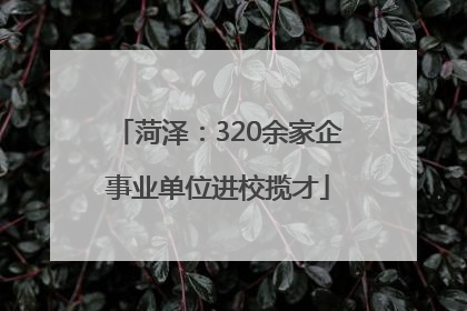 菏泽：320余家企事业单位进校揽才