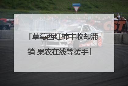 草莓西红柿丰收却滞销 果农在线等援手