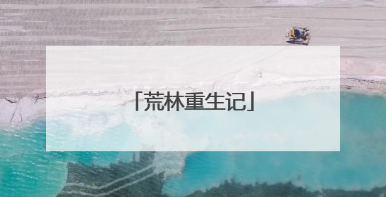 荒林重生记