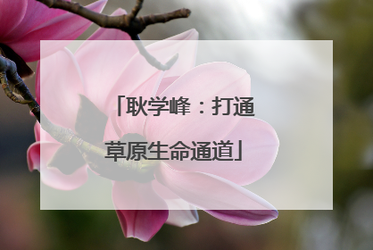 耿学峰：打通草原生命通道