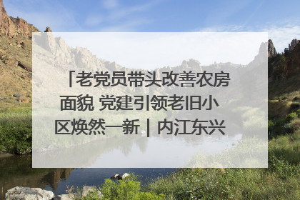 老党员带头改善农房面貌 党建引领老旧小区焕然一新｜内江东兴“红”在哪？④