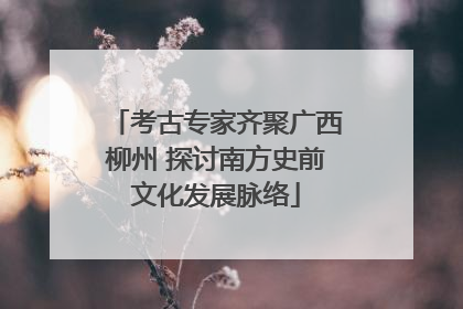 考古专家齐聚广西柳州 探讨南方史前文化发展脉络