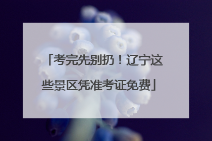 考完先别扔！辽宁这些景区凭准考证免费