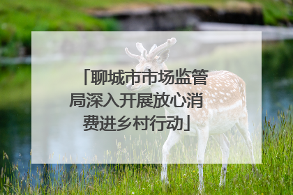 聊城市市场监管局深入开展放心消费进乡村行动