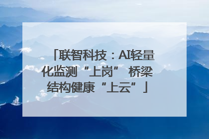 联智科技：AI轻量化监测“上岗” 桥梁结构健康“上云”