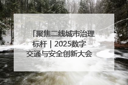 聚焦二线城市治理标杆｜2025数字交通与安全创新大会在保定隆重开幕
