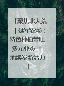 聚焦北大荒｜延军农场：特色种植带旺多元业态 土地焕发新活力