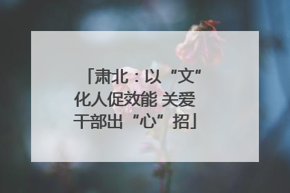 肃北：以“文”化人促效能 关爱干部出“心”招