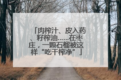 肉榨汁、皮入药、籽榨油……在枣庄，一颗石榴被这样“吃干榨净”
