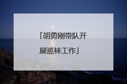 胡勇刚带队开展巡林工作