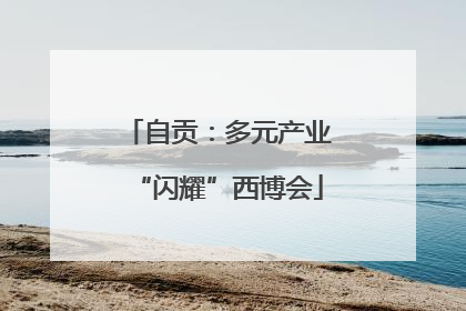 自贡：多元产业“闪耀”西博会
