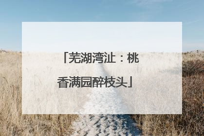 芜湖湾沚：桃香满园醉枝头