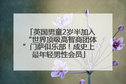 英国男童2岁半加入“世界顶级高智商团体”门萨俱乐部！成史上最年轻男性会员