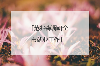 范兆森调研全市就业工作