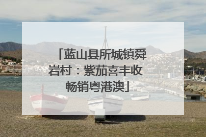 蓝山县所城镇舜岩村：紫茄喜丰收 畅销粤港澳