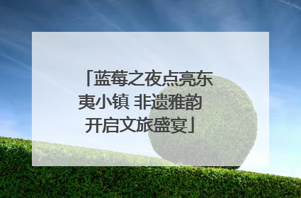 蓝莓之夜点亮东夷小镇 非遗雅韵开启文旅盛宴
