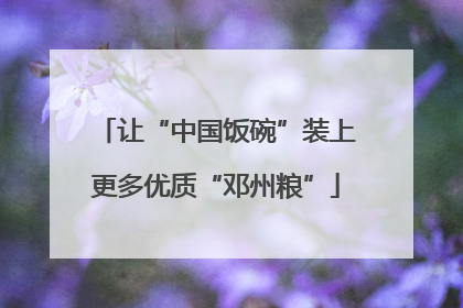 让“中国饭碗”装上更多优质“邓州粮”