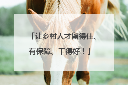 让乡村人才留得住、有保障、干得好！