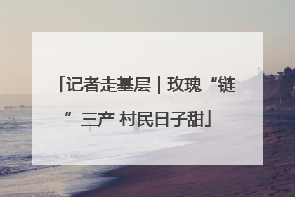 记者走基层｜玫瑰“链”三产 村民日子甜