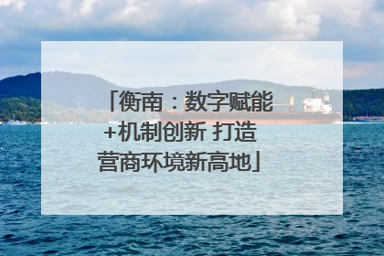 衡南：数字赋能+机制创新 打造营商环境新高地