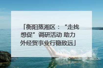 衡阳蒸湘区：“走找想促”调研活动 助力外经贸事业行稳致远