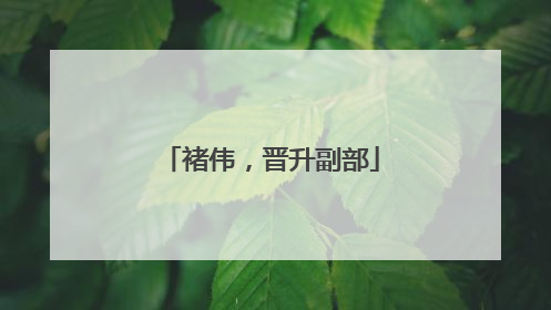 褚伟，晋升副部