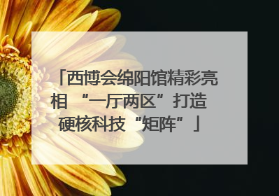 西博会绵阳馆精彩亮相 “一厅两区”打造硬核科技“矩阵”
