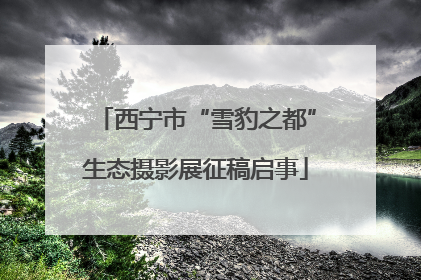西宁市“雪豹之都”生态摄影展征稿启事