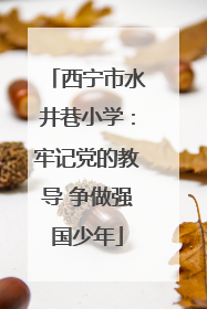 西宁市水井巷小学：牢记党的教导 争做强国少年