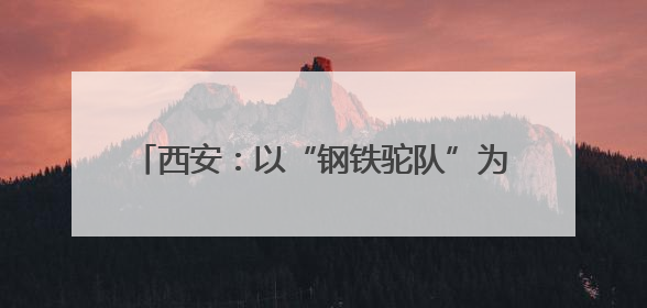 西安：以“钢铁驼队”为笔 绘就内陆开放新图景