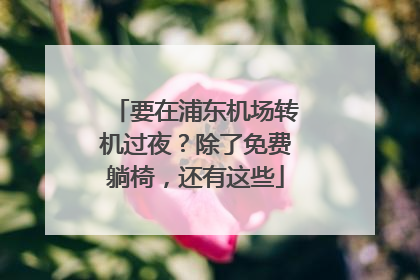 要在浦东机场转机过夜？除了免费躺椅，还有这些