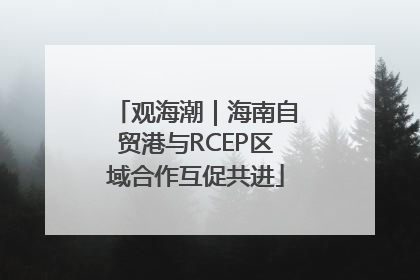 观海潮｜海南自贸港与RCEP区域合作互促共进