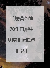 规模空前，70头白犀牛从南非运抵卢旺达
