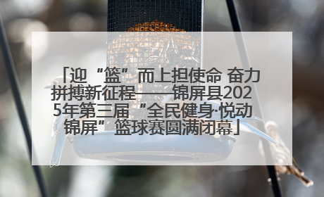 迎“篮”而上担使命 奋力拼搏新征程——锦屏县2025年第三届“全民健身·悦动锦屏”篮球赛圆满闭幕