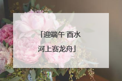 迎端午 酉水河上赛龙舟