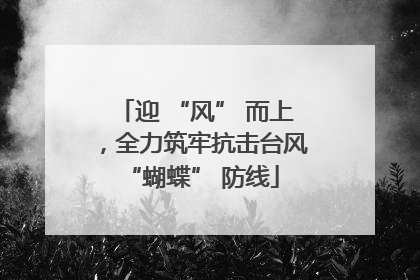 迎 “风” 而上，全力筑牢抗击台风 “蝴蝶” 防线