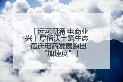 运河潮涌 电商业兴丨厚植沃土筑生态 宿迁电商发展跑出“加速度”