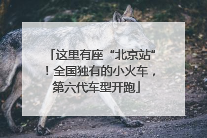 这里有座“北京站”！全国独有的小火车，第六代车型开跑