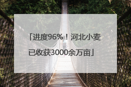 进度96%！河北小麦已收获3000余万亩