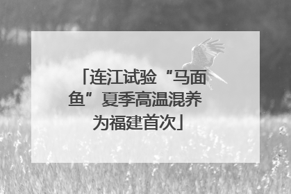 连江试验“马面鱼”夏季高温混养 为福建首次