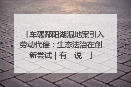 车碾鄱阳湖湿地案引入劳动代偿：生态法治在创新尝试｜有一说一