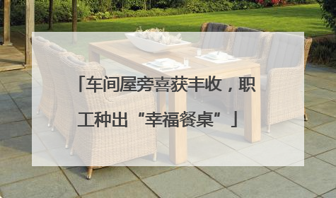 车间屋旁喜获丰收，职工种出“幸福餐桌”