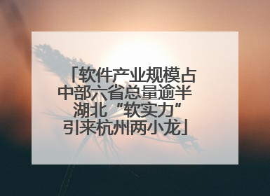 软件产业规模占中部六省总量逾半 湖北“软实力”引来杭州两小龙