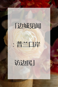 边城见闻：普兰口岸访边民