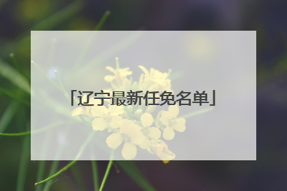 辽宁最新任免名单